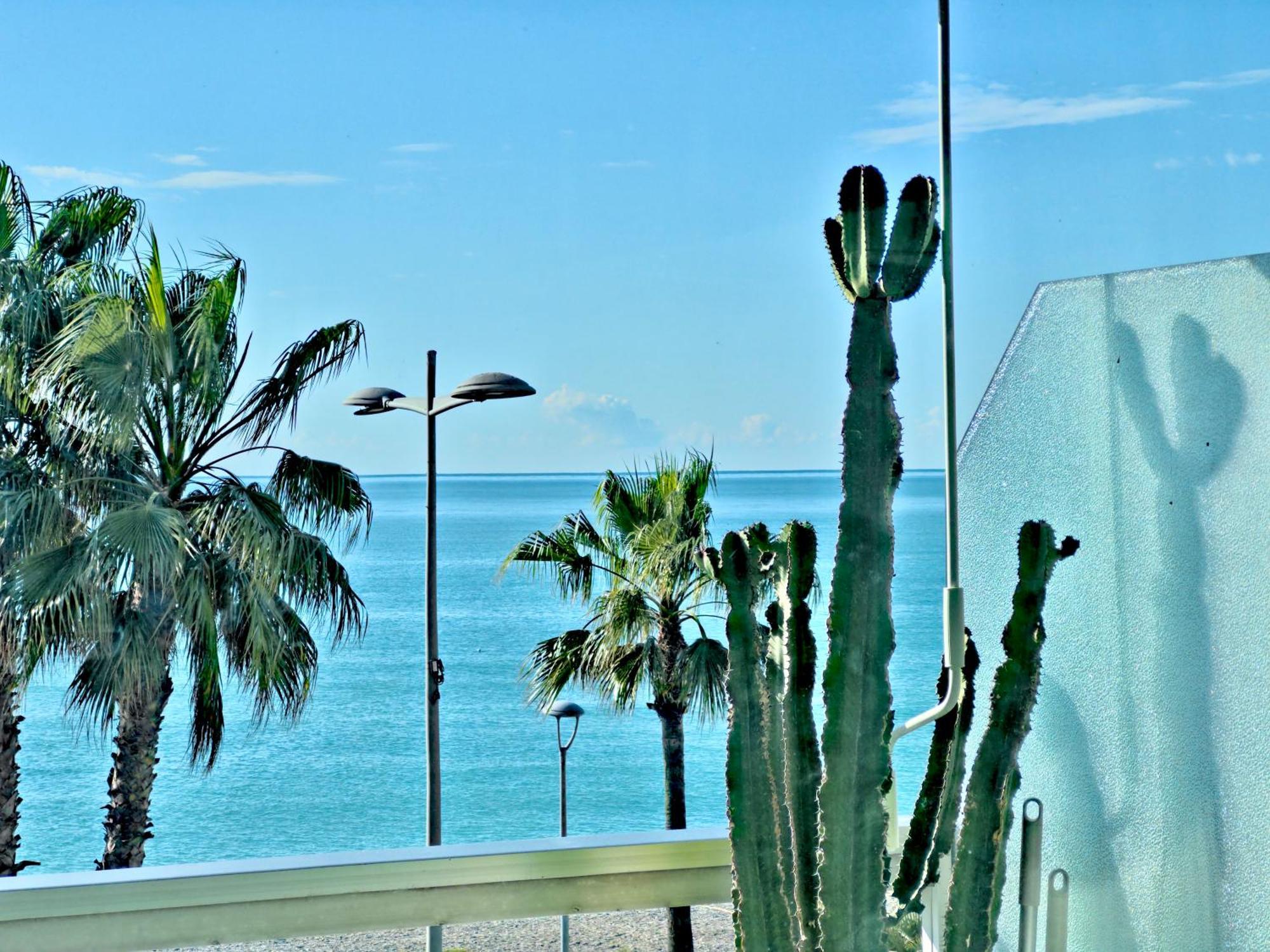 Panoramic Sea View Studio 24H Checkin カーニュ・シュル・メール エクステリア 写真